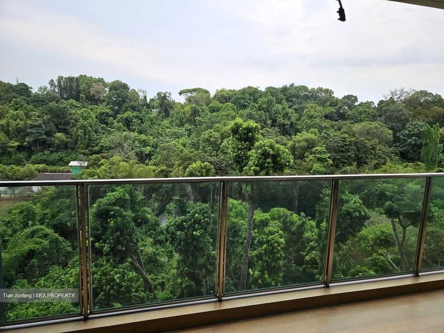 Normanton Park (D5), Apartment #627073951